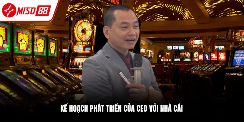 Định hướng phát triển Miso88 của CEO Nguyễn Hải Phong
