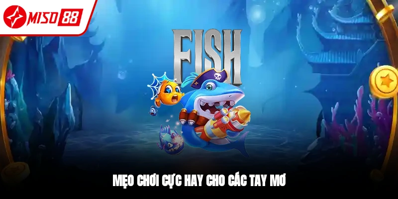 Mẹo chơi bắn cá Thần Tài tối ưu nhất