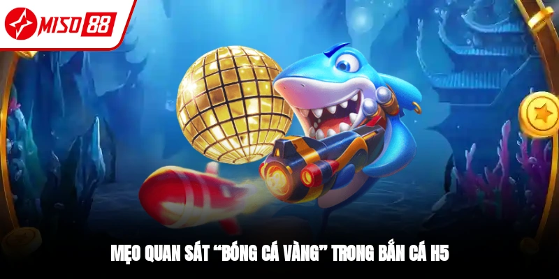 Mẹo chơi quan sát bóng cá vàng