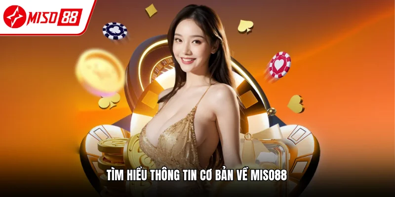 Thông tin tổng quan nhà cái Miso88