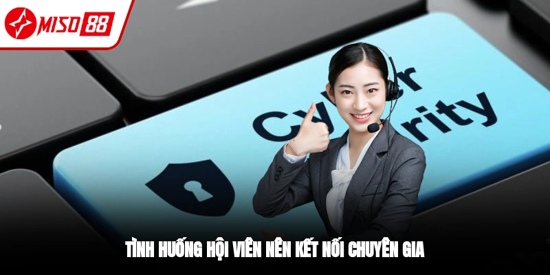 Các trường hợp thành viên cần liên hệ Miso88