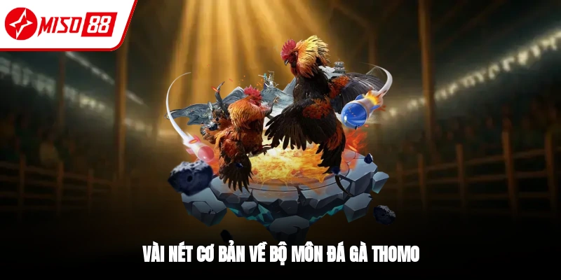 Giới thiệu vài nét về đá gà Thomo